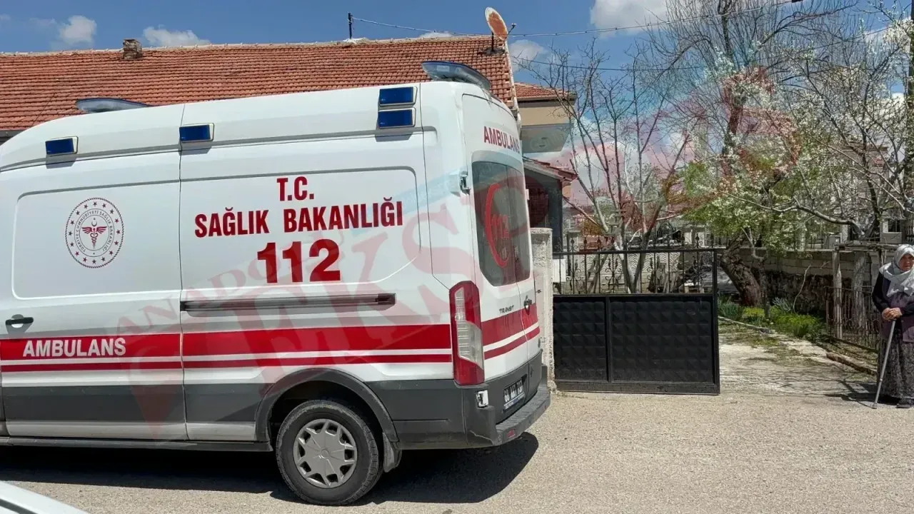 Ağaç budarken düşen adam yaralandı