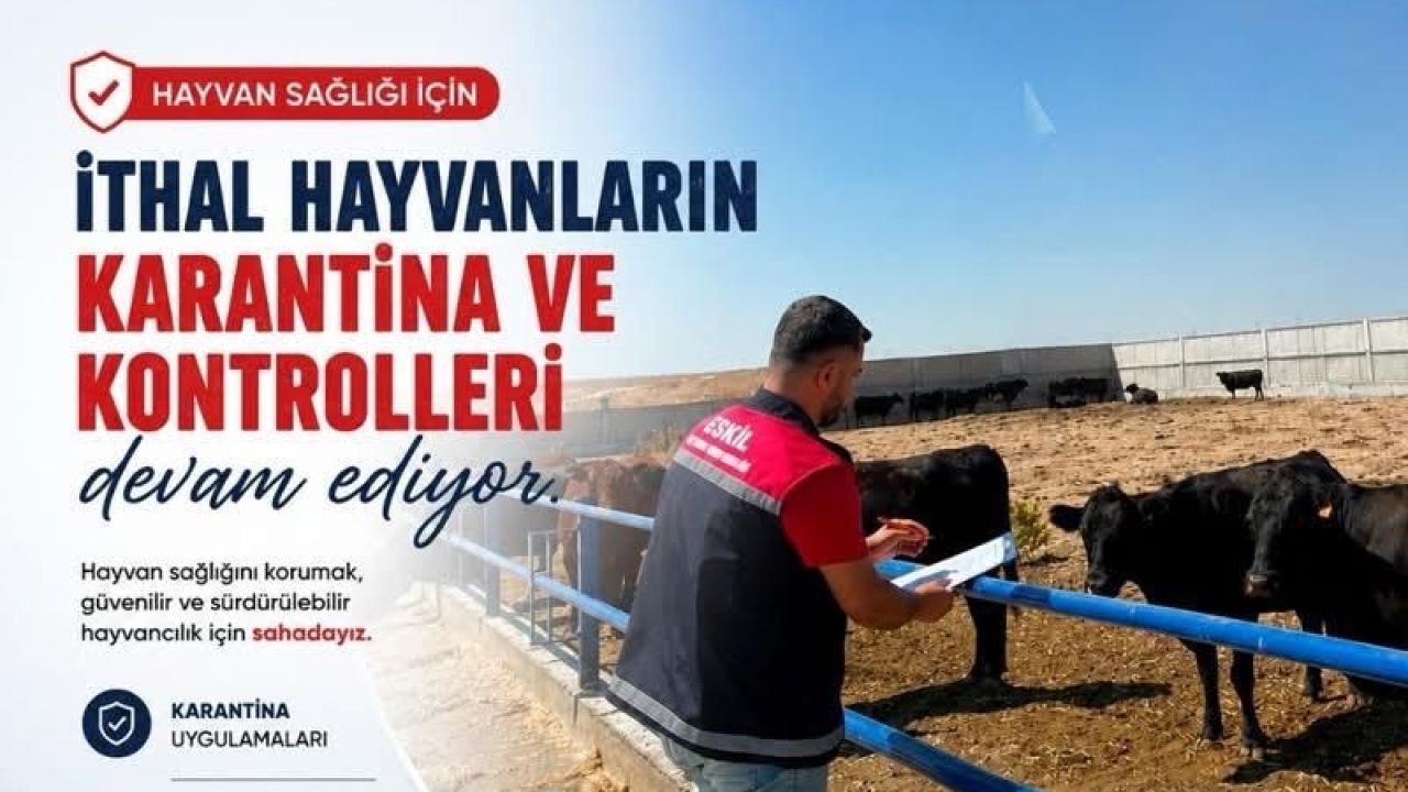 Eskil’de ithal hayvanlara sıkı sağlık kontrolü