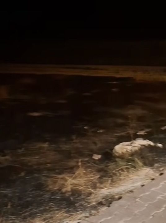 Eskil’de gece saatlerinde alevler yükseldi!