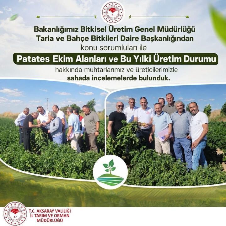Patates üretimine yakın takip