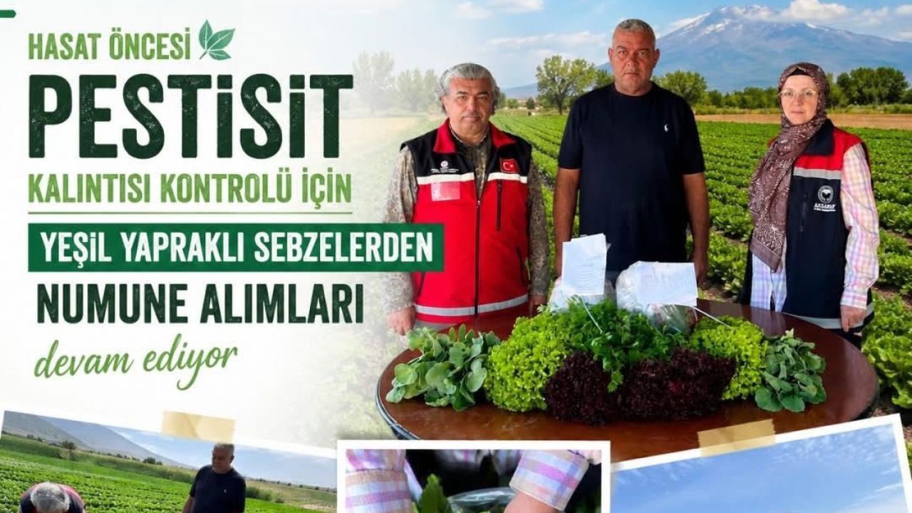 Hasat öncesi pestisit alarmı!