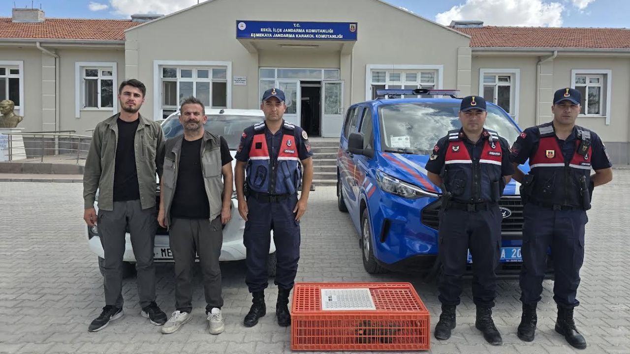 Yabani kuş ticareti yapamadan yakalandı