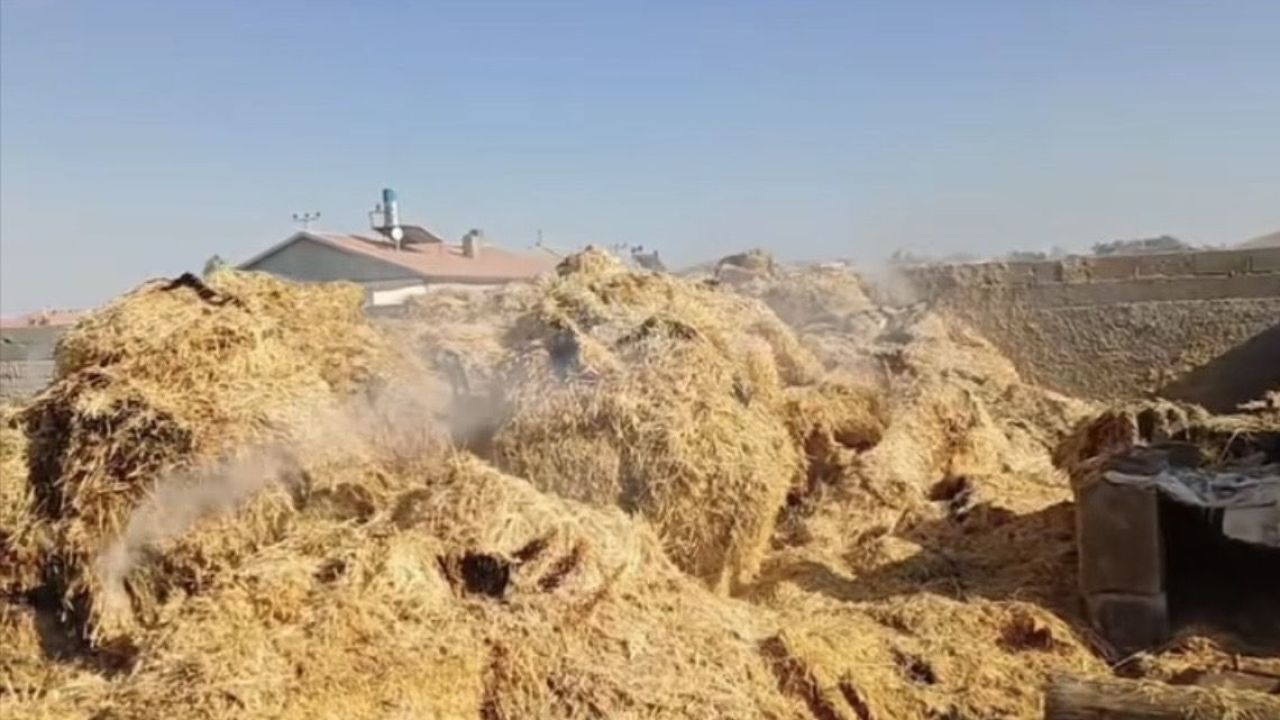 Alevler balyaları sardı: 6 ton kül oldu!