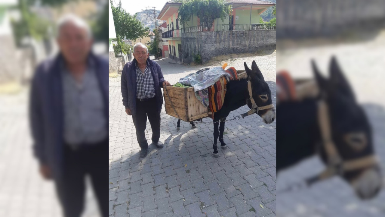 Aksaray'da yarım asırlık gelenek: Eşek sırtında üzüm satışı