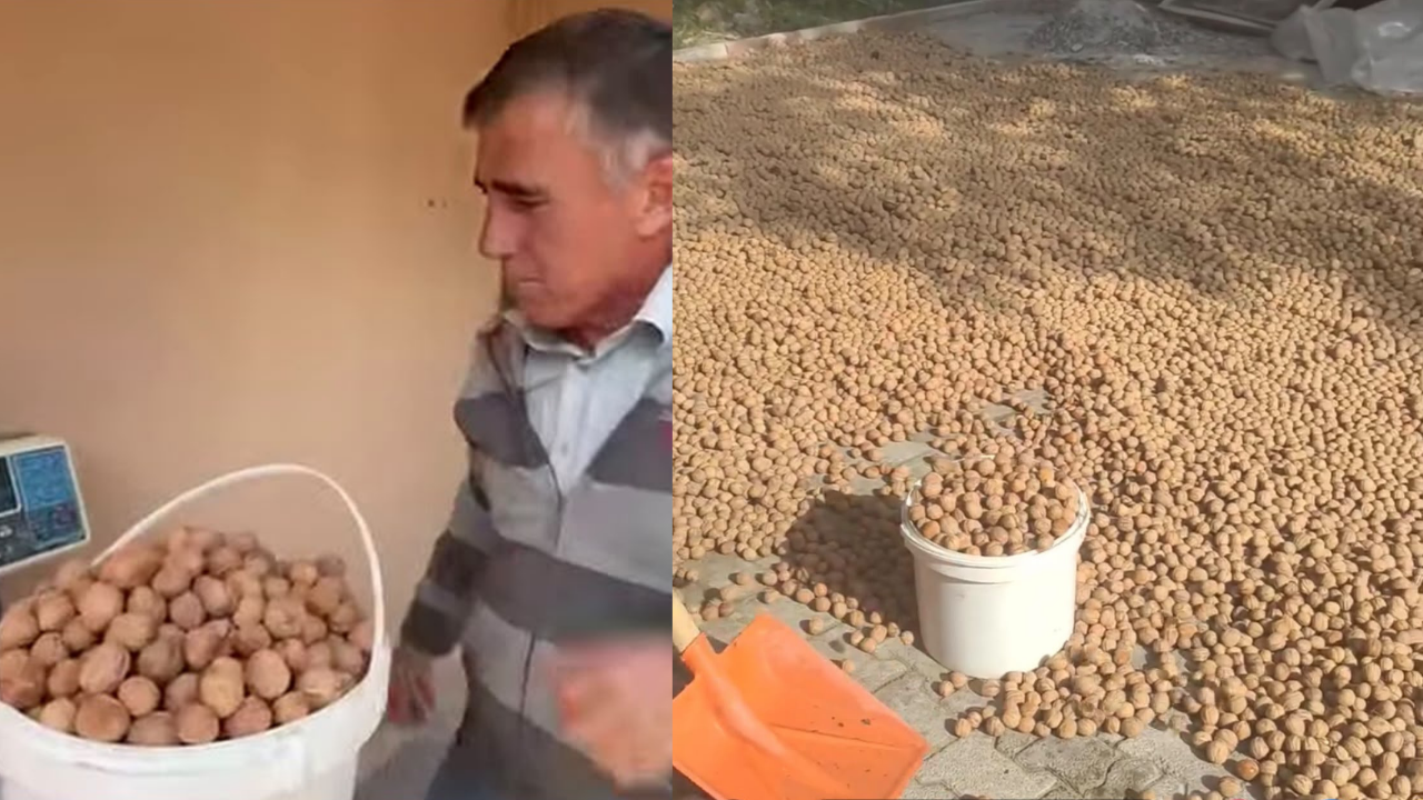 Adsız Tasarım 20261014 204323 0000