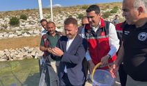 Aksaray bu yıl balığa doyacak 
