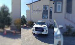 Belgesiz avlandı, cezadan kaçamadı