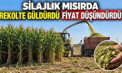 Silajlık mısırda rekolte güldürdü fiyat düşündürdü!