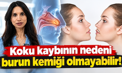 Koku kaybının nedeni burun kemiği olmayabilir!