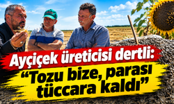 Ayçiçek üreticisi dertli: "Tozu bize, parası tüccara kaldı"
