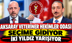 Aksaray Veteriner Hekimler Odası Seçime Gidiyor: İki Yıldız Yarışıyor