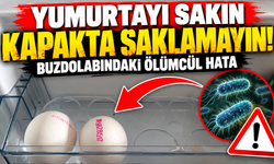 Dolaptaki o bölüme yumurta koyanlar dikkat: Sağlığınızdan olabilirsiniz