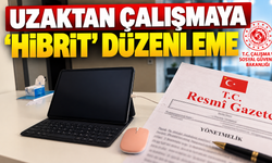 Uzaktan çalışmaya 'Hibrit' düzenleme