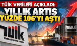 TÜİK verileri açıkladı: Yıllık artış yüzde 106’yı aştı