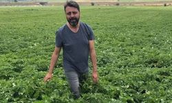 Zirai ilaçlama öncesi üreticilere kritik uyarı