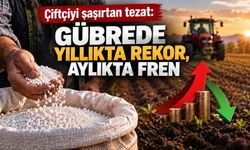 Çiftçiyi şaşırtan tezat: Gübrede yıllıkta rekor, aylıkta fren