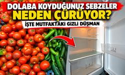 Dolaba koyduğunuz sebzeler neden çürüyor? İşte mutfaktaki gizli düşman