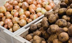 Patates ve soğan üreticilerine destek artışı