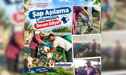 Şapa karşı yoğun mesai