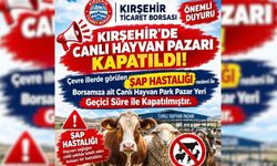 Komşuda Şap Alarmı: Hayvan Pazarı Kapatıldı!