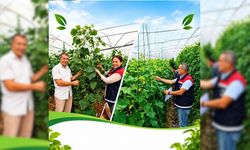 Seralarda üretim takibi sürüyor