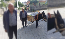 Aksaray'da yarım asırlık gelenek: Eşek sırtında üzüm satışı