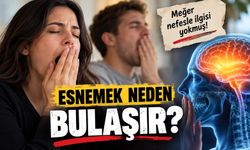 Birini esnerken görünce neden esneriz?