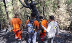 Kozan’da yangının izleri siliniyor