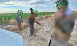 Yaban hayatına sıkı denetim