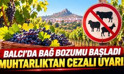 Balcı'da Bağ Bozumu Başladı, Muhtarlıktan Cezalı Uyarı!