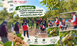 Ağaçören’in cevizleri geleceğe taşınacak!