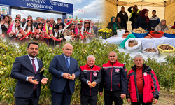 Ağaçören’de 5. ceviz şöleni başladı