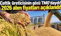 Çeltik üreticisinin gözü TMO’daydı! 2026 alım fiyatları açıklandı!