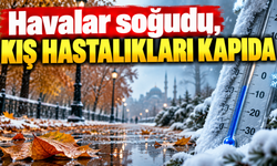 Havalar soğudu, kış hastalıkları kapıda