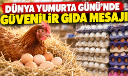 Dünya Yumurta Günü’nde güvenilir gıda mesajı