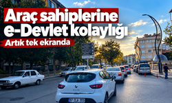 Araç sahiplerine e-Devlet kolaylığı: Artık tek ekranda
