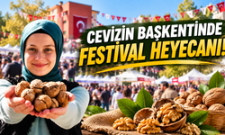 Cevizin başkentinde festival heyecanı!