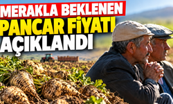 Merakla beklenen pancar fiyatı açıklandı