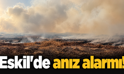 Eskil’de anız alarmı!