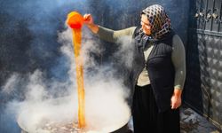 4. bağ bozumu ve pekmez festivali başlıyor!
