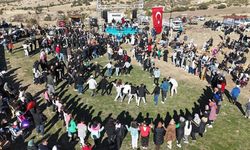 Akyamaç’ta geleneksel alıç festivali başlıyor!