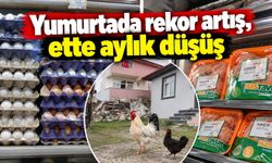 Yumurtada rekor artış, ette aylık düşüş