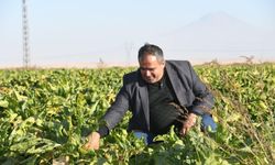 Başkan Koçak açıklanan pancar fiyatını eleştirdi