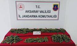 Takip edildiklerini bilmiyorlardı! 3 zehir taciri yakalandı