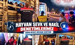 Küpesiz, belgesiz hayvan sevkine geçit yok