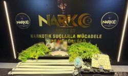 Narkotik’ten kenevir operasyonu!