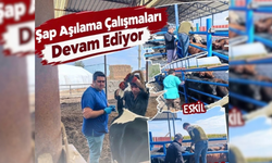 Eskil'de şapa karşı sahada nöbet var