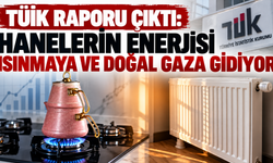 TÜİK raporu çıktı: Hanelerin enerjisi ısınmaya ve doğal gaza gidiyor