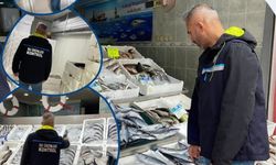 Balık popülasyonu için ekipler sahada!
