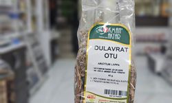 Bu Otu Hiç Denediniz Mi?